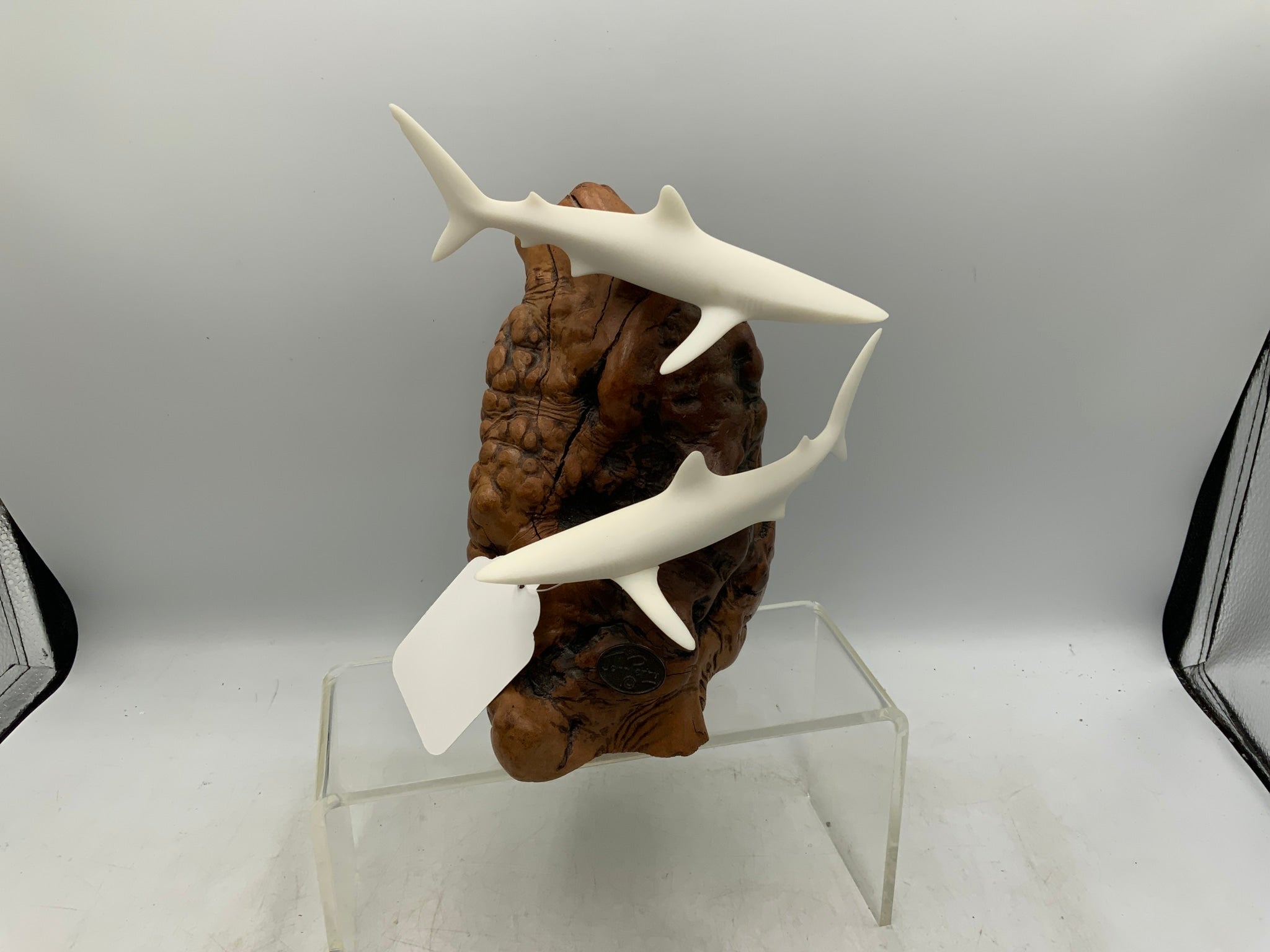John Perry Shark